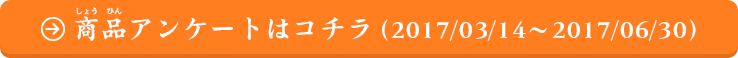 お買い上げいただいたお客様：商品アンケートはコチラ（2017/03/14～2017/06/30）