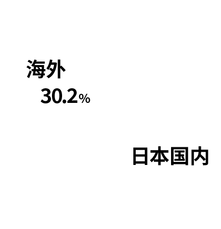 海外销售额占比