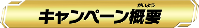 キャンペーン概要