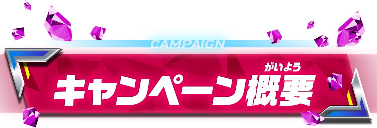 キャンペーン概要