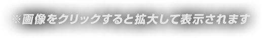 ※画像をクリックすると拡大して表示されます