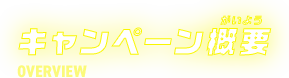 キャンペーン概要