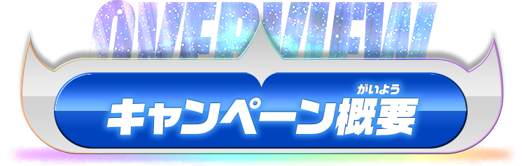 キャンペーン概要