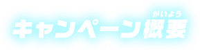 キャンペーン概要