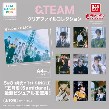 &TEAM　クリアファイルコレクション