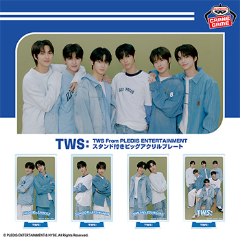 TWS From PLEDIS ENTERTAINMENT スタンド付きビッグアクリルプレート