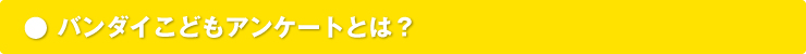 �o���_�C���ǂ��A���P�[�g�Ƃ́H