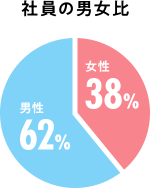 社員の男女比