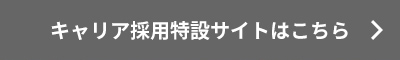 キャリア採用特設サイトを見る